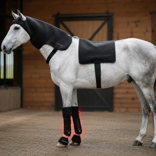 Thérapie infrarouge pour les chevaux : fonctionnement, avantages et utilisation