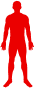 Körpersilhouette vollständig rot markiert, der ganze Körper als Behandlungsbereich