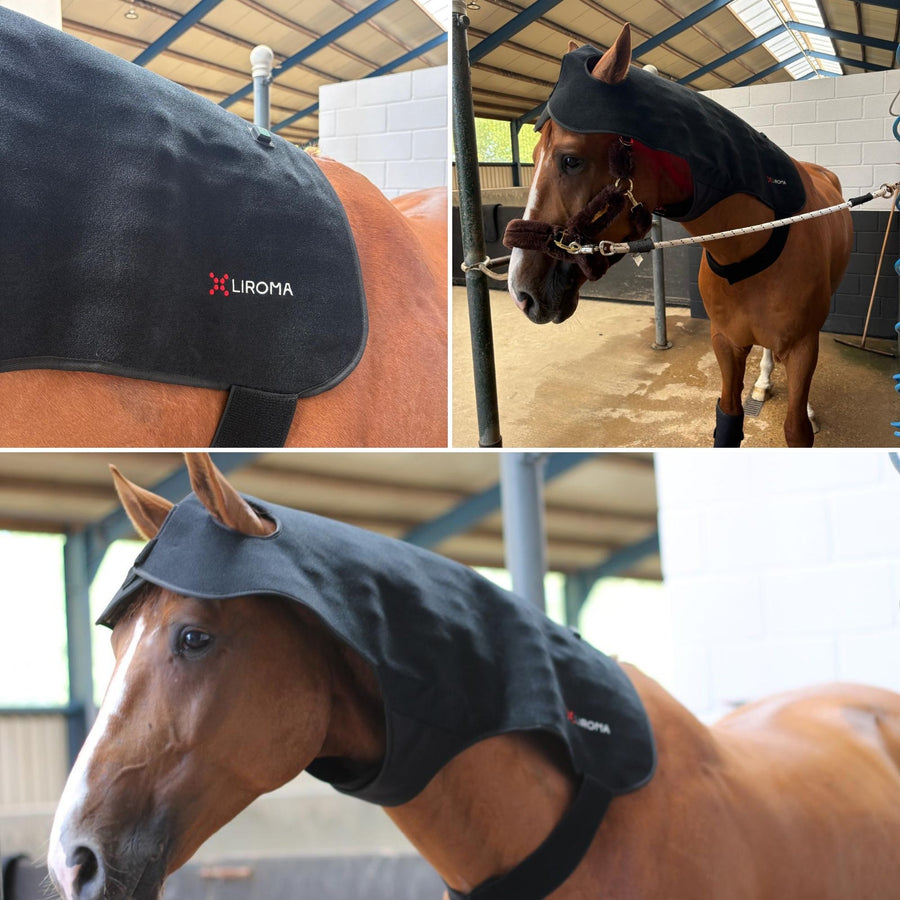 Professional applying wrap